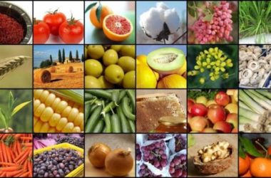 Agrofood, in Sicindustria a Palermo incontri con 85 produttori internazionali