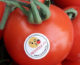 Pomodoro Redrock, il grappolo rosso ideale per l’export