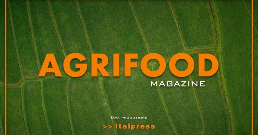 Agrifood Magazine – 19/5/2021