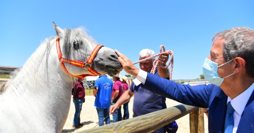 Sport equestri, ad Ambelia aperta la ‘Fiera mediterraneo del cavallò