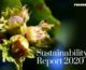 Da Ferrero impegno per sostenibilità, al 2030 emissioni attività -50%