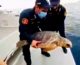 Carabinieri restituiscono al mare di Lampedusa tartaruga marina “Fiamma”