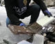 Operazione antidroga polizia di Bologna, sequestrati 760 kg cocaina