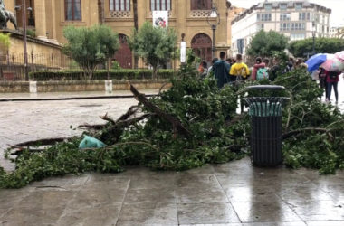 Il vento e i temporali devastano Palermo