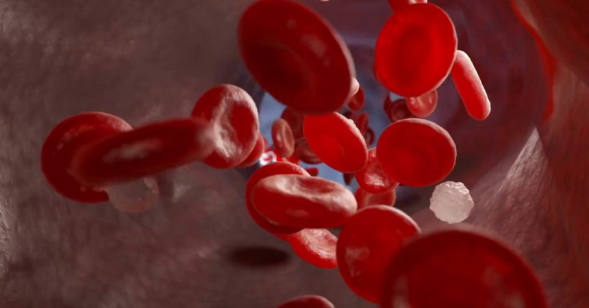 Beta-Talassemia, nuova molecola riduce la necessità di sangue