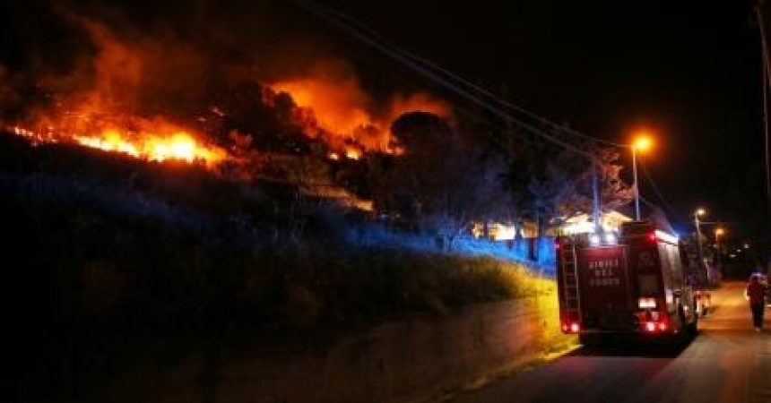 Roghi nel Palermitano, in Sicilia bruciano ettari di vegetazione