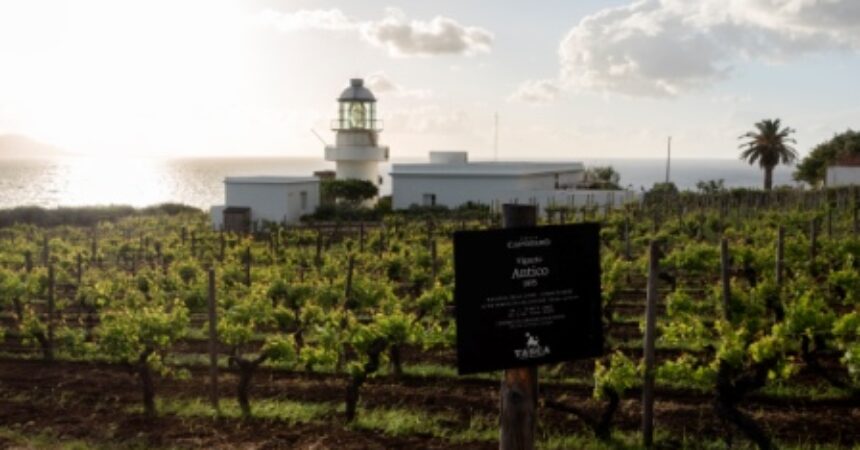 Tasca d’Almerita-Tenuta Capofaro riceve premio miglior carta vini mondo