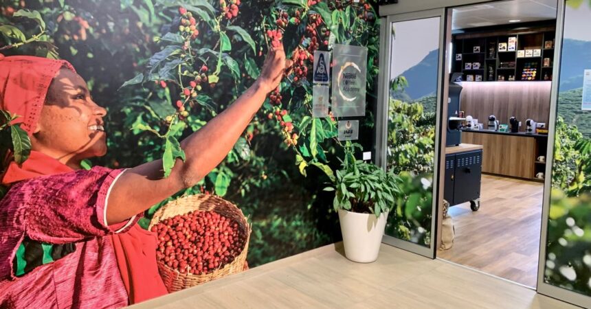 Coltivazione di caffè più green, Nestlè lancia il Nescafè Plan 2030