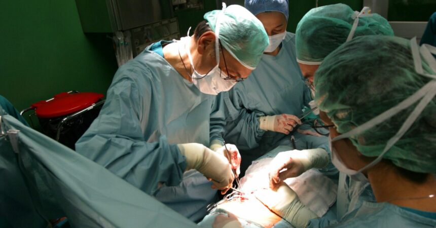 Eseguito a Palermo un trapianto di fegato grazie ad un prelievo effettuato in Lettonia