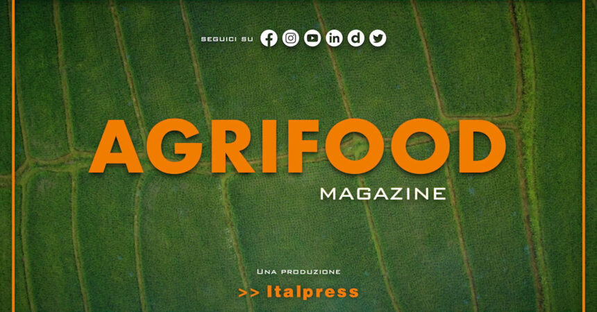 Agrifood Magazine – 23/11/2022