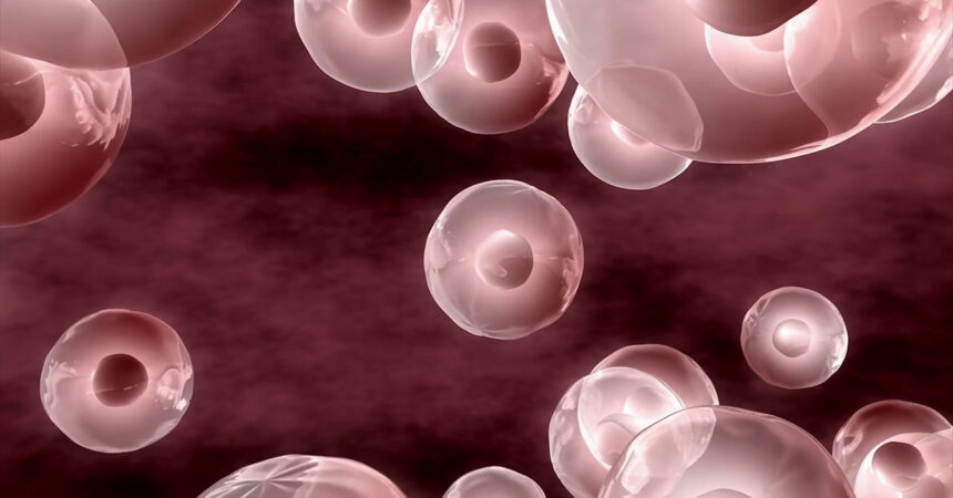 Cellule tumorali in 3d senza coloranti chimici