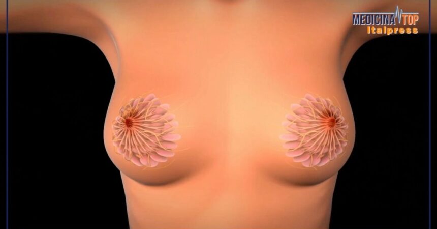 Tumore al seno, la sopravvivenza a 5 anni dalla diagnosi è dell’88%
