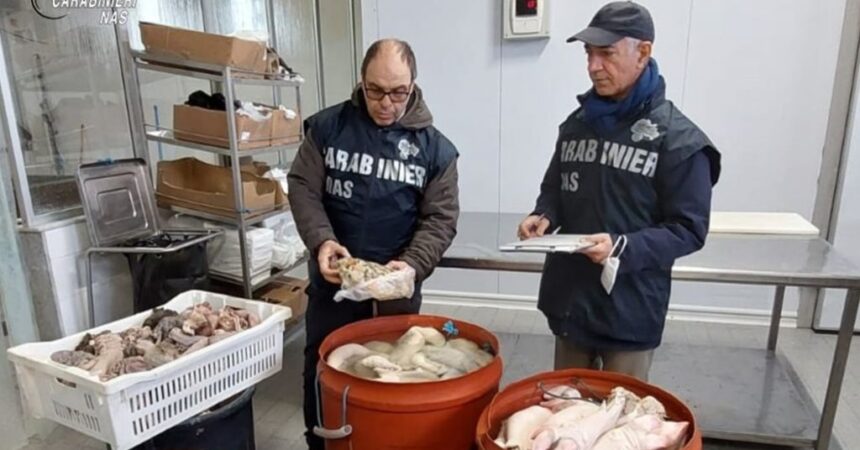 Sequestrata una tonnellata di carne a Palermo, sanzioni da 11.500 euro