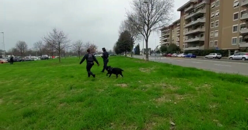 Cani avvelenati a Firenze, bonifica dell’unità cinofila