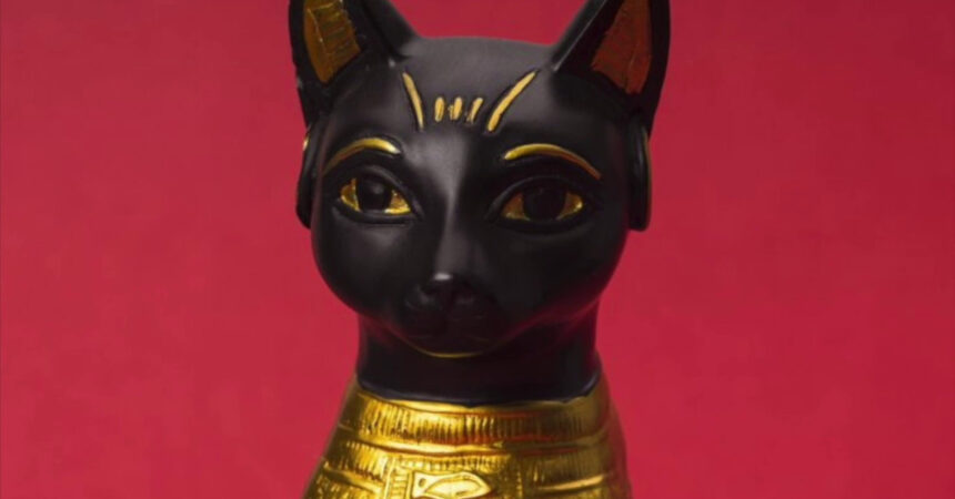 I gatti e l’antico Egitto, una Tac alla mummia per conoscere i segreti