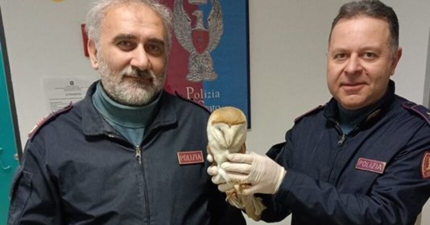 Alla stazione di Catania gli agenti della Polizia ferroviaria salvano un barbagianni ferito