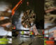 La talpa gigante della M4 di Milano in mostra alla Triennale
