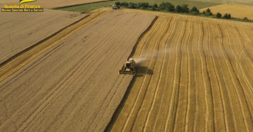 Pirateria agroalimentare, sequestrate 382 tonnellate di cereali in Puglia e Sicilia