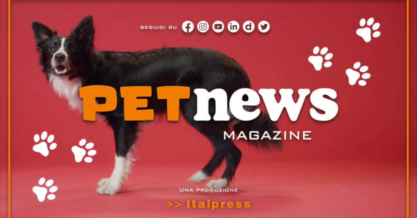 PetNews Magazine – 14/3/2023