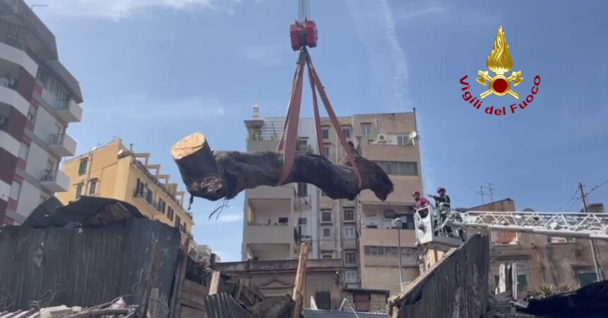 Rimosso albero caduto al Mercato delle pulci di Palermo