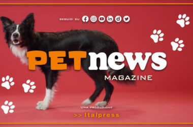 PetNews Magazine – 4/4/2023