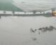 Alluvione in Emilia Romagna, allagamenti e abitazioni evacuate