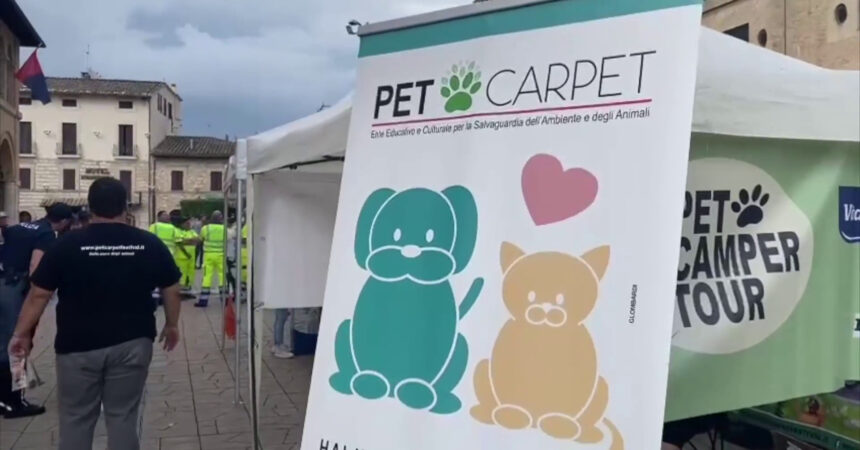 Pet Camper Tour, tappa ad Assisi per la campagna contro l’abbandono