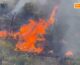 Gli incendi devastano Palermo e la Provincia, tre morti per i roghi