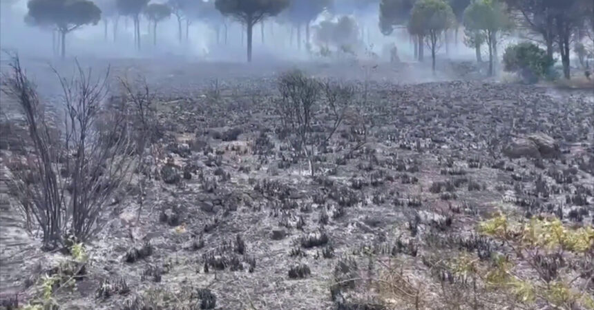 Incendi a Palermo, le immagini della devastazione