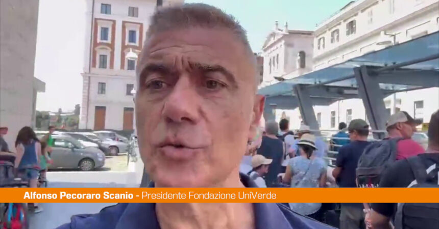 Pecoraro Scanio “File assurde per i Taxi a Roma, si risolva emergenza”