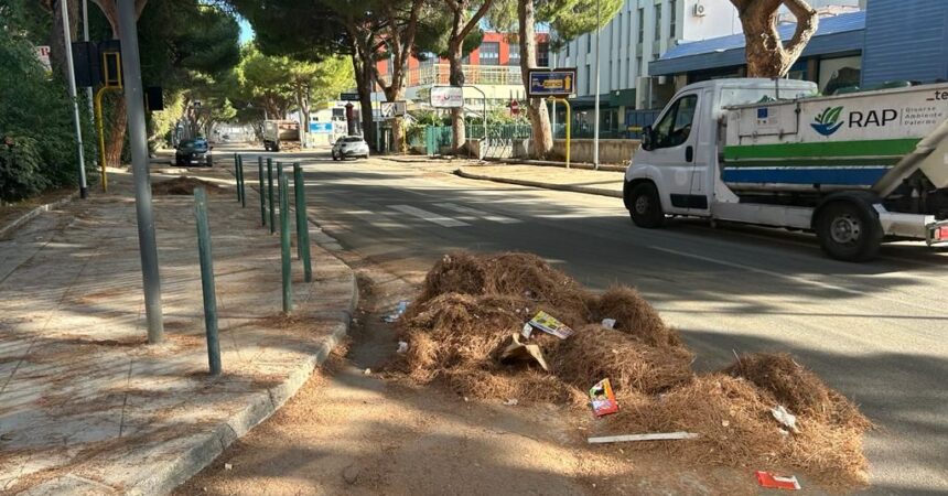 Dopo i roghi a Palermo squadre rap in azione per la pulizia delle strade