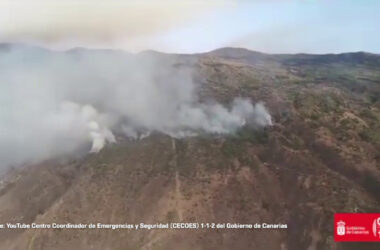 Spagna, in fiamme i boschi di Tenerife