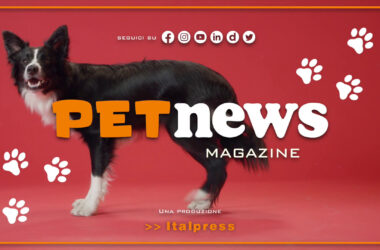 PetNews Magazine – 1/8/2023