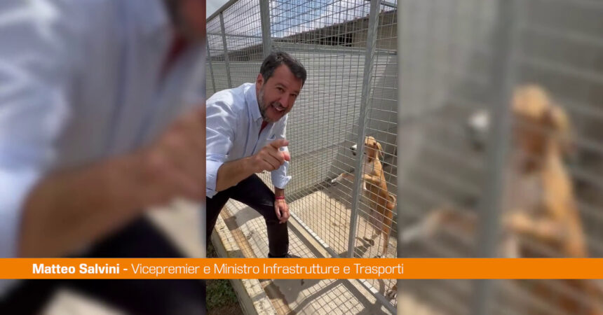 Salvini visita canile “Importante aprire le porte ai cuccioli”