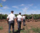 Scoperti oltre 900 falsi braccianti agricoli in provincia di Lecce