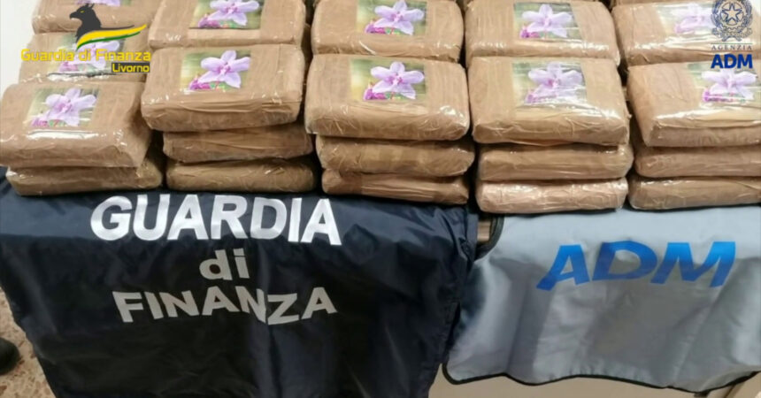 Livorno, sequestrati 48,5 kg di cocaina provenienti dal Sud-America