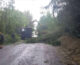 In Toscana chiusa la SS 12 per alberi caduti in carreggiata