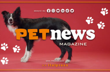 PetNews Magazine – 14/11/2023