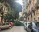 Palermo, alberi caduti per il forte vento in centro città