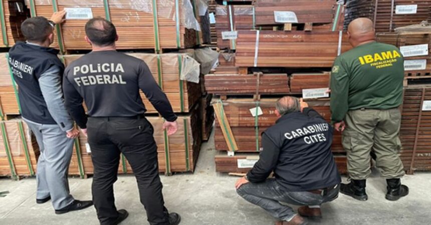 Operazione internazionale contro il traffico illegale di legname