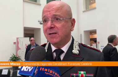 Carabinieri Forestali di Calabria e Sicilia presentano bilancio 2023