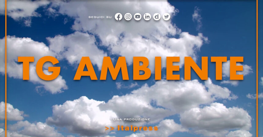 Tg Ambiente – 21/1/2024