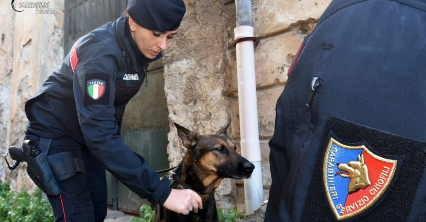 Palermo, 25 chili di droga sequestrati e 6 arresti