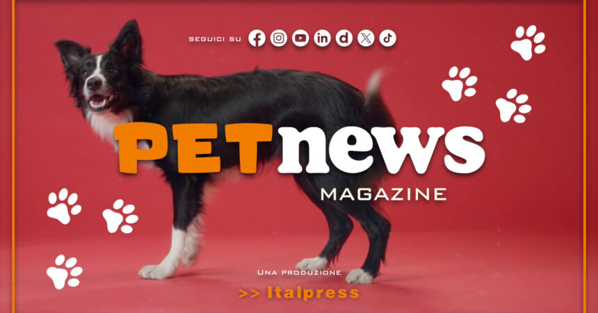 PetNews Magazine – 28/2/2024