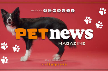PetNews Magazine – 26/3/2024