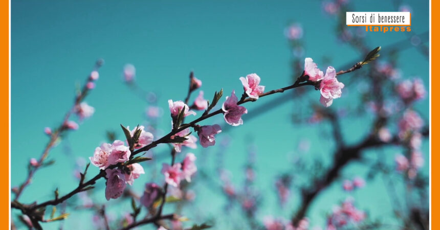 Sorsi di benessere – La tisana giusta per iniziare la primavera