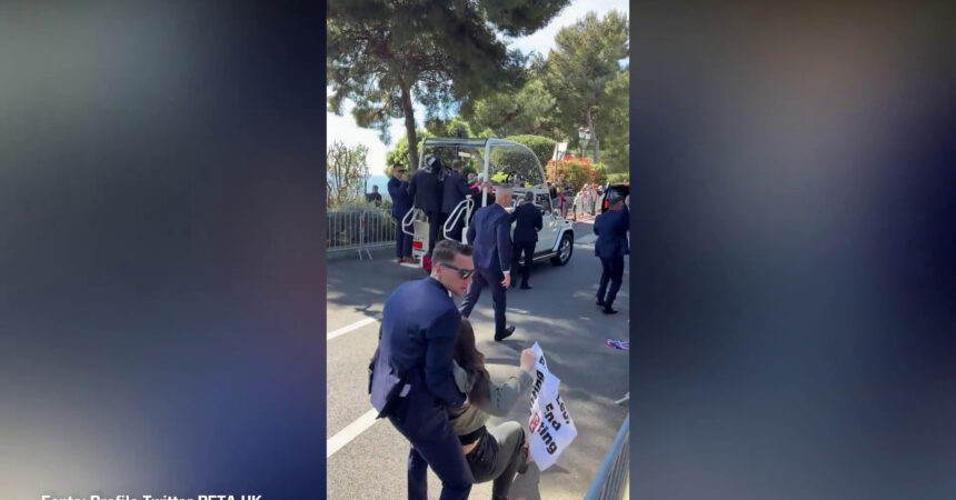 Attiviste Peta bloccano papamobile a Monaco per protesta contro le corride