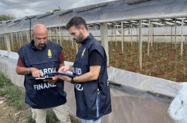 Lavoro in nero nei campi del Trapanese, scoperti 19 irregolari in tre aziende agricole