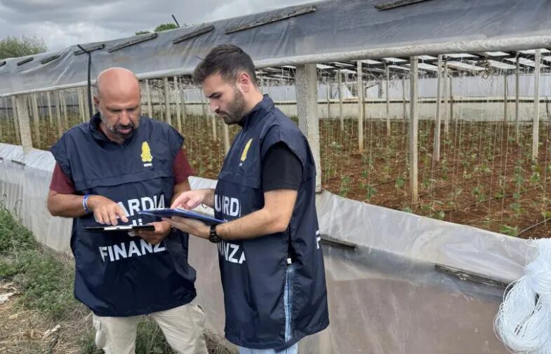 Lavoro in nero nei campi del Trapanese, scoperti 19 irregolari in tre aziende agricole