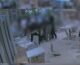 Rissa su una nave da crociera in arrivo a Palermo, 13 giovani denunciati / Video